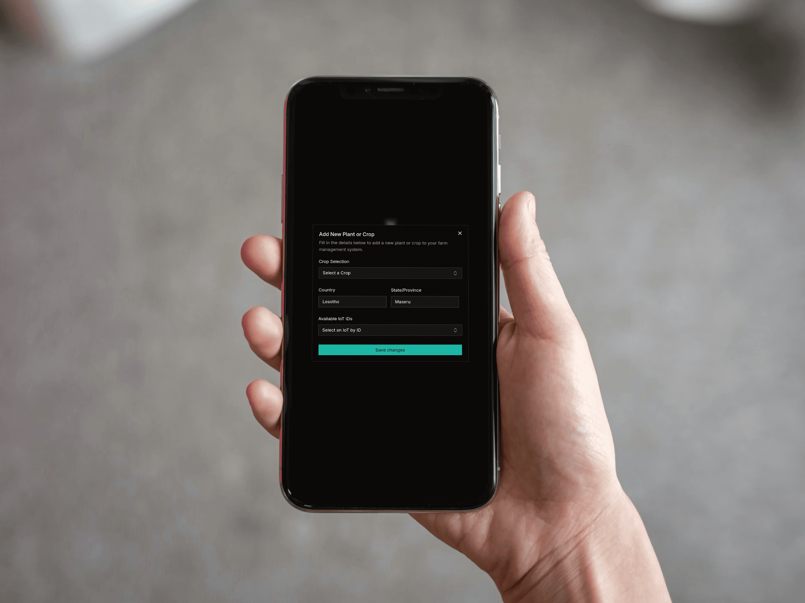 Mobile Friendly Interface