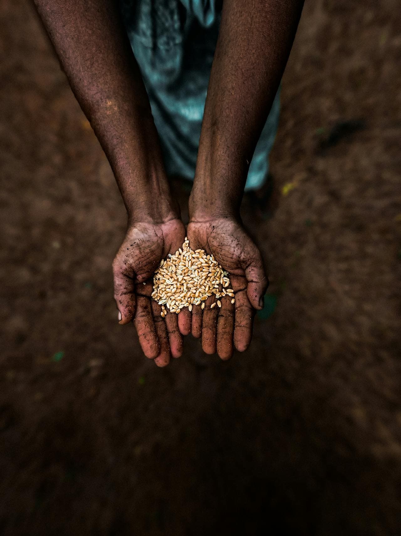 Partnership in agriculture
